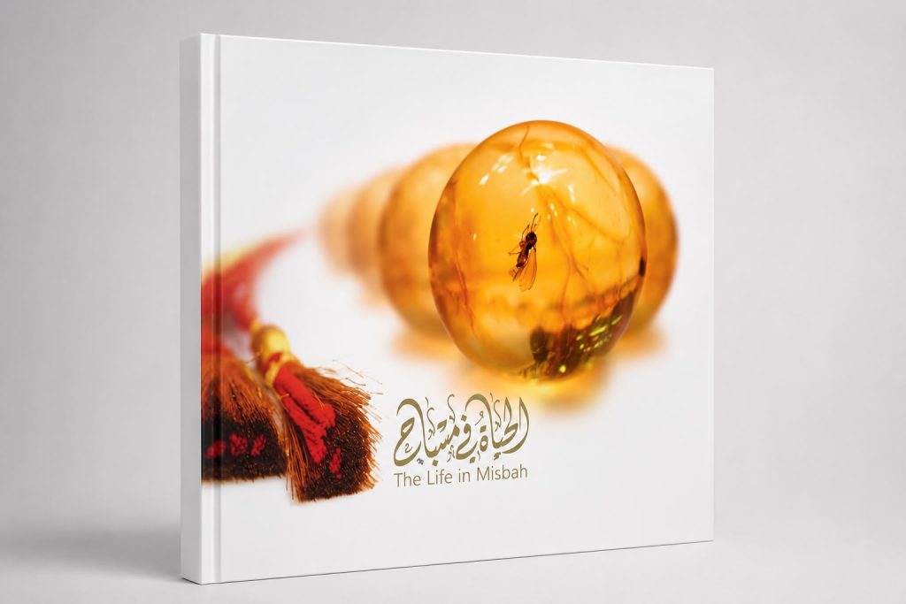 الحياة في مسباح
